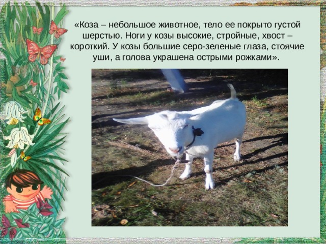 «Коза – небольшое животное, тело ее покрыто густой шерстью. Ноги у козы высокие, стройные, хвост – короткий. У козы большие серо-зеленые глаза, стоячие уши, а голова украшена острыми рожками». 