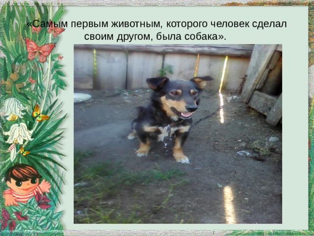 «Самым первым животным, которого человек сделал своим другом, была собака». 