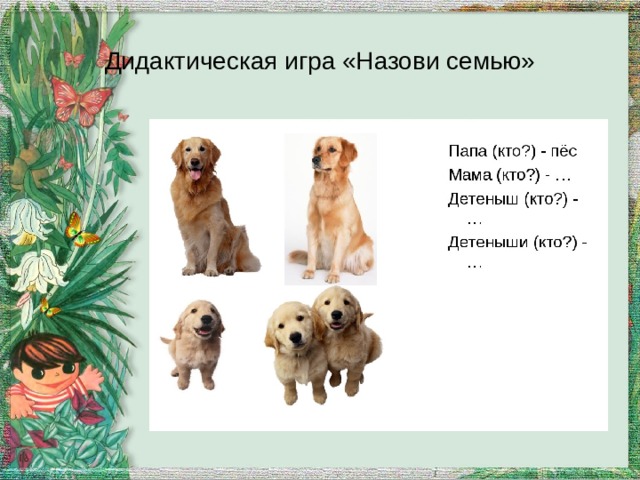 Дидактическая игра «Назови семью» 