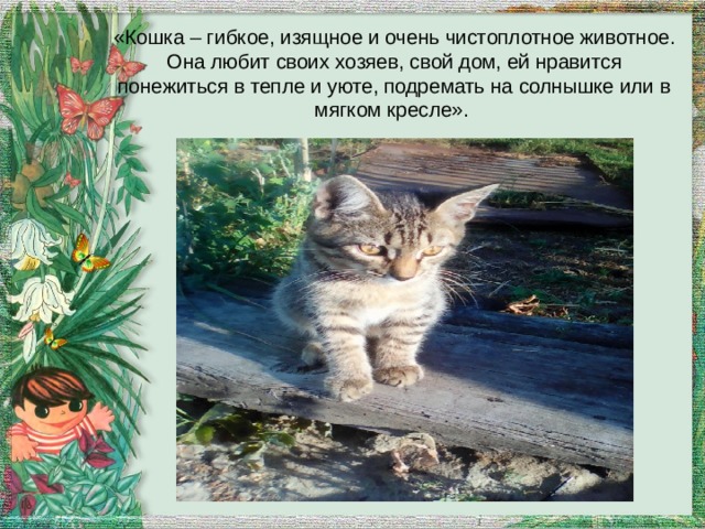 «Кошка – гибкое, изящное и очень чистоплотное животное. Она любит своих хозяев, свой дом, ей нравится понежиться в тепле и уюте, подремать на солнышке или в мягком кресле». 
