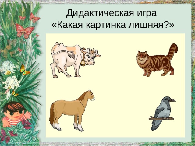 Дидактическая игра  «Какая картинка лишняя?» 