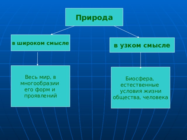 Человечество в узком смысле