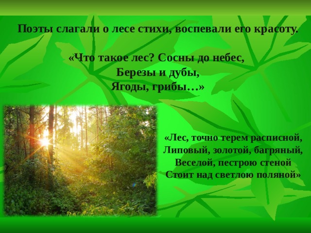 Поэзия о лесе