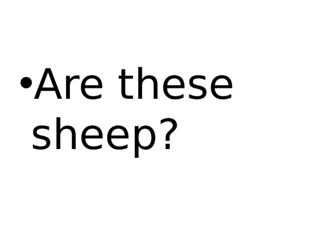 Are these sheep? 