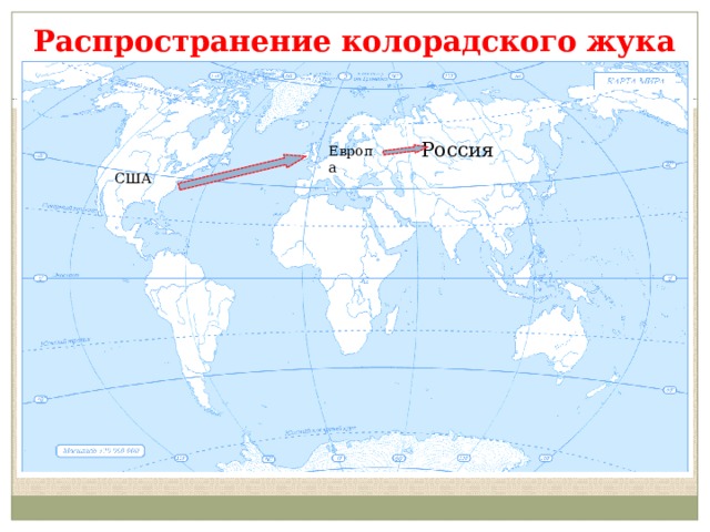 Карта распространения колорадского жука