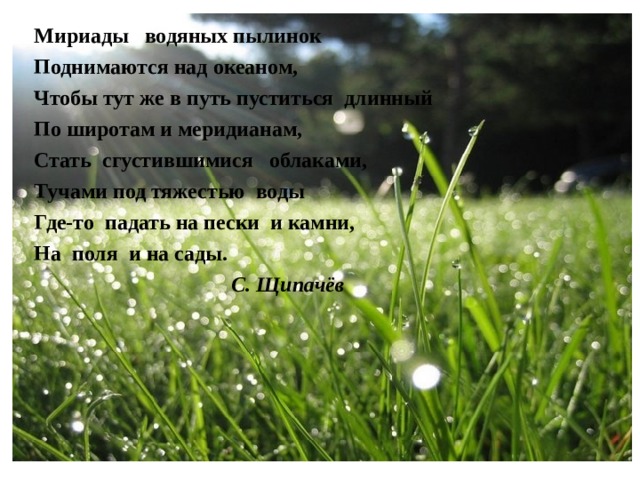 Мириады водяных пылинок Поднимаются над океаном, Чтобы тут же в путь пуститься длинный По широтам и меридианам, Стать сгустившимися облаками, Тучами под тяжестью воды Где-то падать на пески и камни, На поля и на сады.  С. Щипачёв
