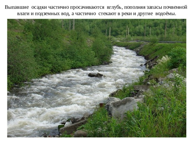 Выпавшие осадки частично просачиваются вглубь, пополняя запасы почвенной влаги и подземных вод, а частично стекают в реки и другие водоёмы.