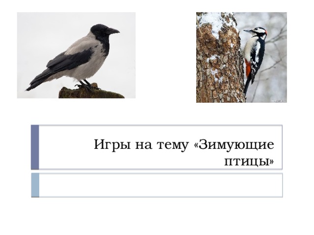 Игры на тему «Зимующие птицы» 