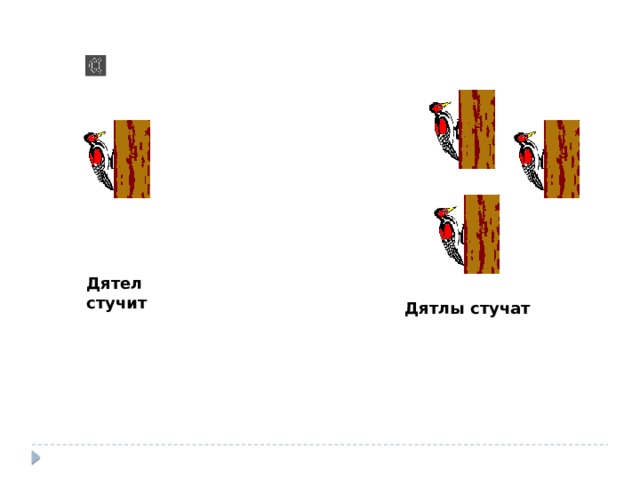 Дятел стучит Дятлы стучат 