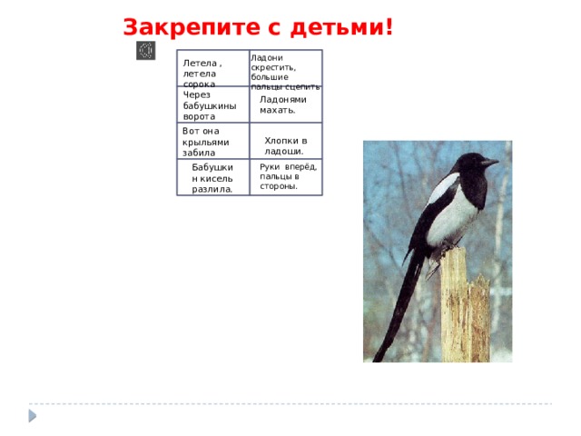 Закрепите с детьми!  Ле ладони Ладони скрестить, большие пальцы сцепить Летела , летела сорока Через бабушкины ворота Ладонями махать. Вот она крыльями забила Хлопки в ладоши. Бабушкин кисель разлила. Руки вперёд, пальцы в стороны. 