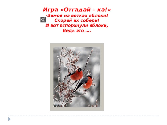 Игра «Отгадай – ка!» -Зимой на ветках яблоки! Скорей их собери! И вот вспорхнули яблоки, Ведь это ….  