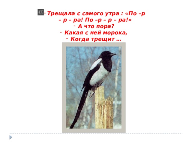 Трещала с самого утра : «По –р – р – ра! По –р – р – ра!» А что пора? Какая с ней морока, Когда трещит … 