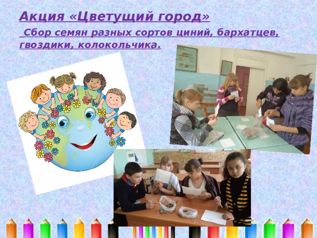Акция «Цветущий город»   Сбор семян разных сортов циний, бархатцев, гвоздики, колокольчика. 