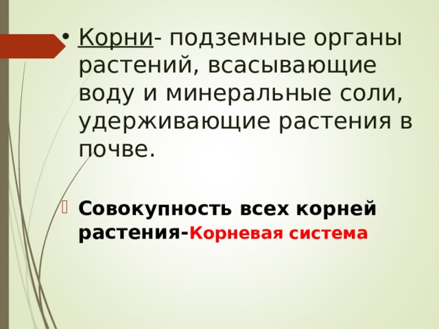 Корни - подземные органы растений, всасывающие воду и минеральные соли, удерживающие растения в почве. Совокупность всех корней растения- Корневая система  