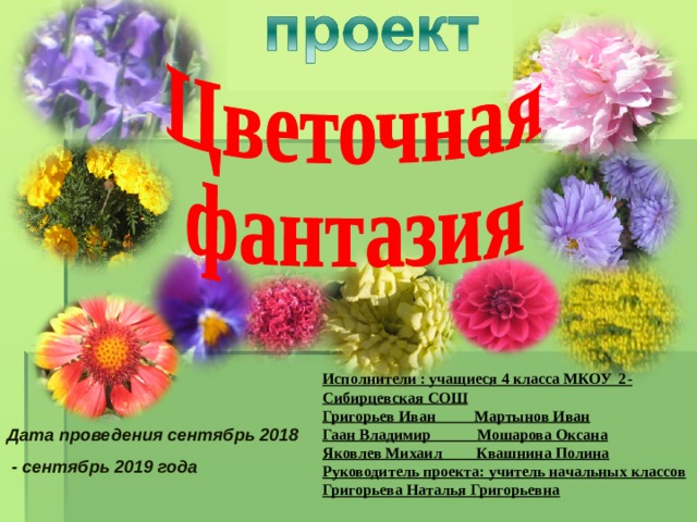 Исполнители : учащиеся 4 класса МКОУ 2-Сибирцевская СОШ Григорьев Иван Мартынов Иван Гаан Владимир Мошарова Оксана Яковлев Михаил Квашнина Полина Руководитель проекта: учитель начальных классов Григорьева Наталья Григорьевна Дата проведения сентябрь 2018  - сентябрь 2019 года  