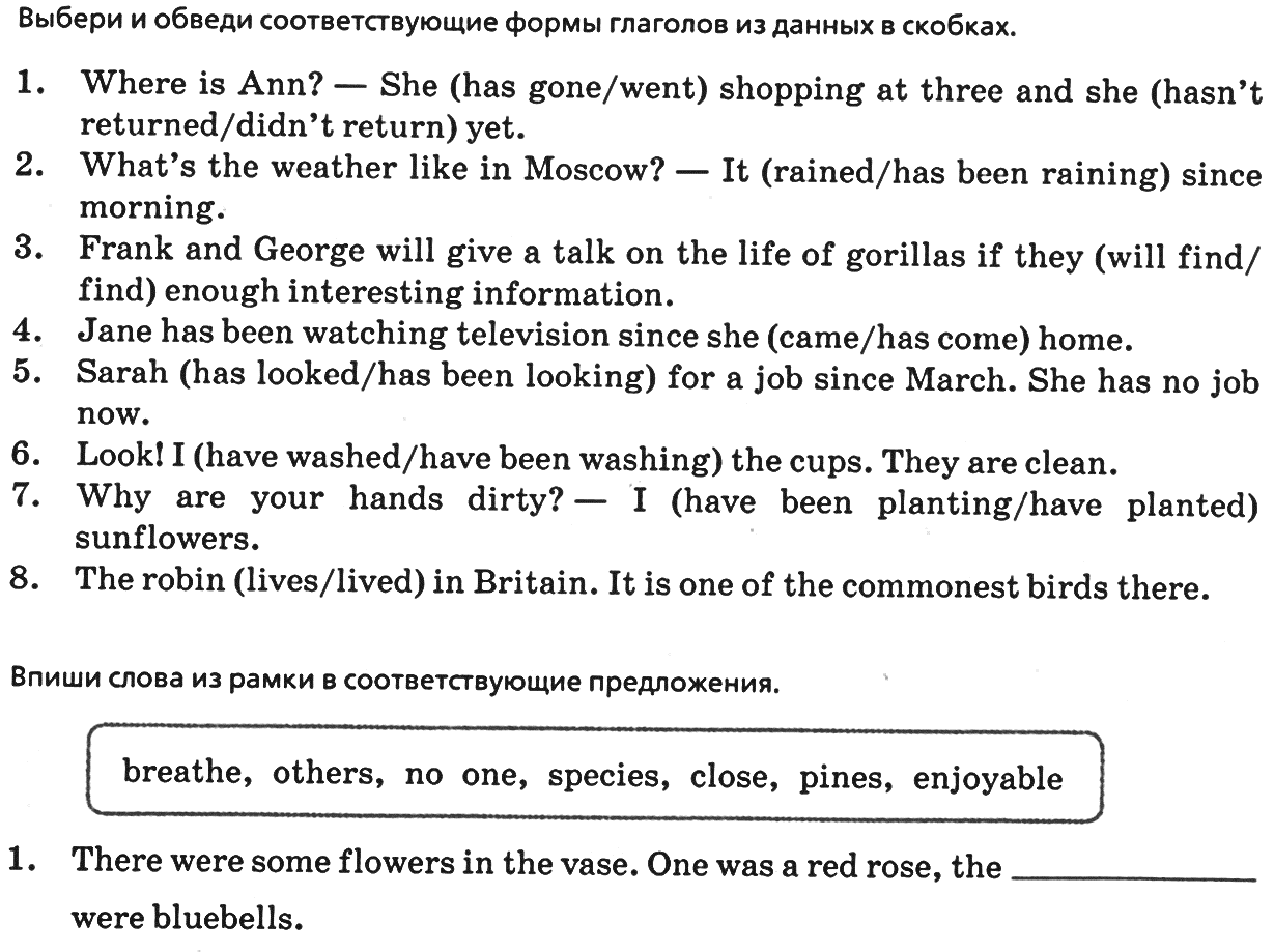 Выбери и обведи соответствующие. Выбери и обведи соответствующие формы глаголов из данных в скобках. Выбери и обведи соответствующие слова в скобках по английскому. Выбери и обведи соответствующие формы глаголов з данных в скобках.