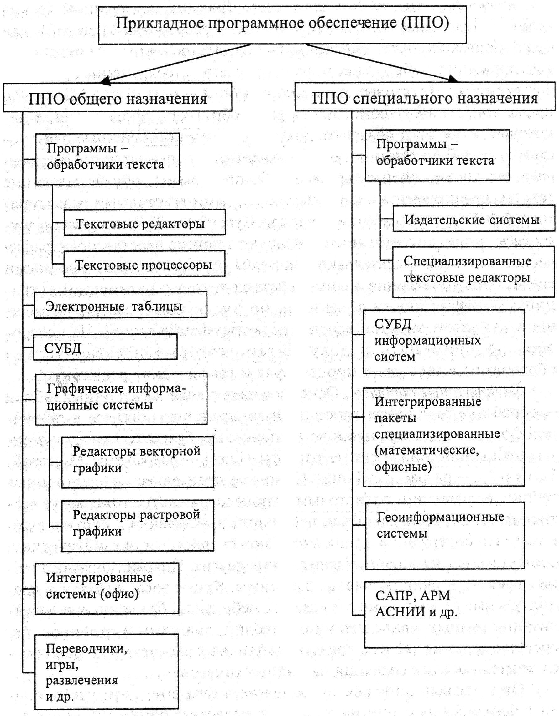 Программное обеспечение и его виды