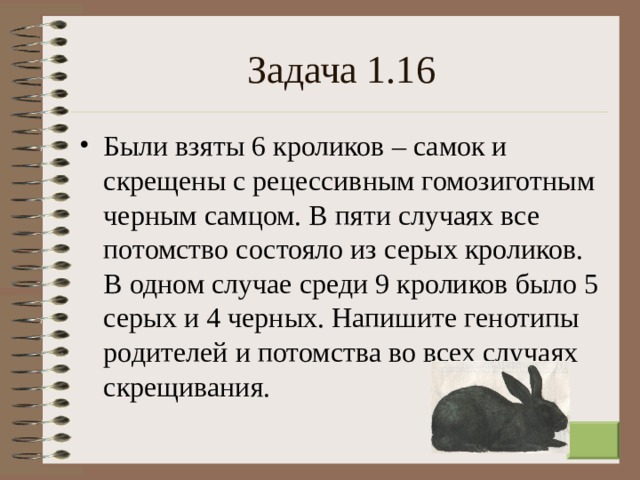 Задача 1.16 Были взяты 6 кроликов – самок и скрещены с рецессивным гомозиготным черным самцом. В пяти случаях все потомство состояло из серых кроликов. В одном случае среди 9 кроликов было 5 серых и 4 черных. Напишите генотипы родителей и потомства во всех случаях скрещивания.  