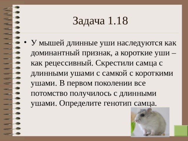 Задача 1.18 У мышей длинные уши наследуются как доминантный признак, а короткие уши – как рецессивный. Скрестили самца с длинными ушами с самкой с короткими ушами. В первом поколении все потомство получилось с длинными ушами. Определите генотип самца.  
