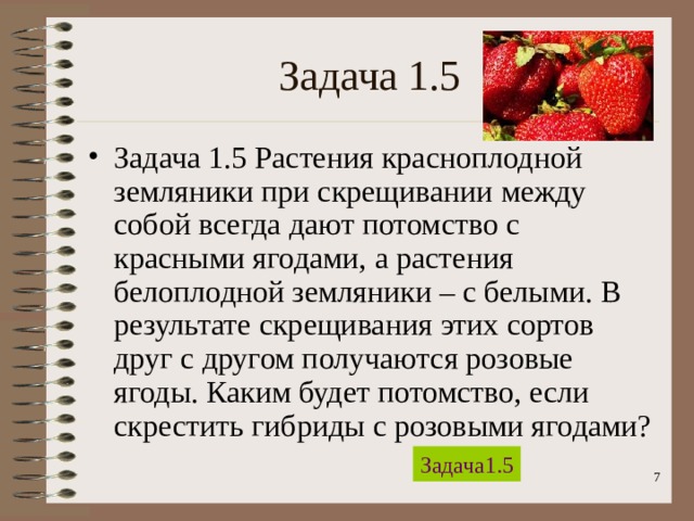 Задача 1.5 Задача 1.5 Растения красноплодной земляники при скрещивании между собой всегда дают потомство с красными ягодами, а растения белоплодной земляники – с белыми. В результате скрещивания этих сортов друг с другом получаются розовые ягоды. Каким будет потомство, если скрестить гибриды с розовыми ягодами? Задача1.5  