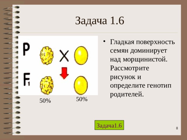 Задача 1.6 Гладкая поверхность семян доминирует над морщинистой. Рассмотрите рисунок и определите генотип родителей. 50% 50% Задача1.6  