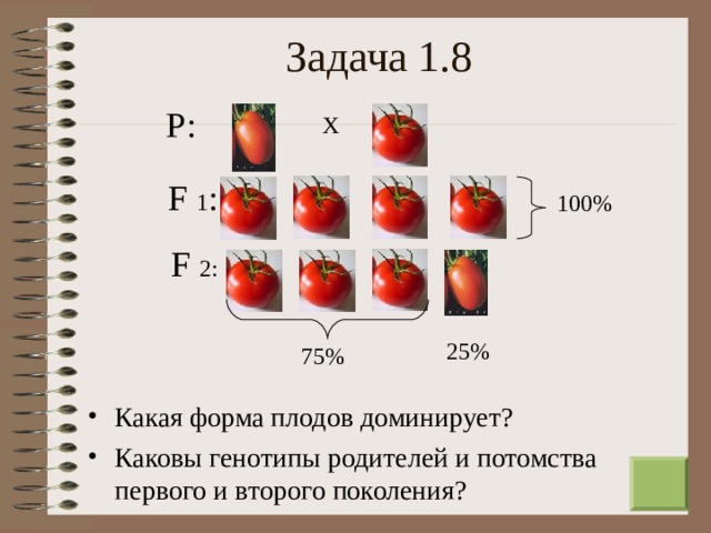 Задача 1.8 Р: Х F  1 : 100% F  2: 25% 75% Какая форма плодов доминирует? Каковы генотипы родителей и потомства первого и второго поколения?  