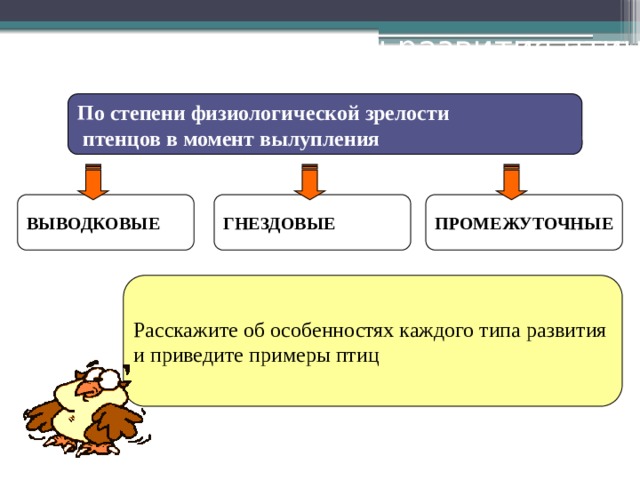 Типы развития птиц По степени физиологической зрелости  птенцов в момент вылупления ВЫВОДКОВЫЕ ГНЕЗДОВЫЕ ПРОМЕЖУТОЧНЫЕ Расскажите об особенностях каждого типа развития и приведите примеры птиц 