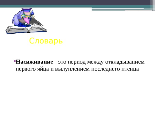 Насиживание Словарь Насиживание - это период между откладыванием первого яйца и вылуплением последнего птенца 