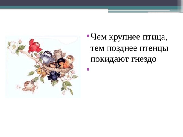 Пребывание в гнезде Чем крупнее птица, тем позднее птенцы покидают гнездо У многих птенцы покидают гнездо как только научаться летать 