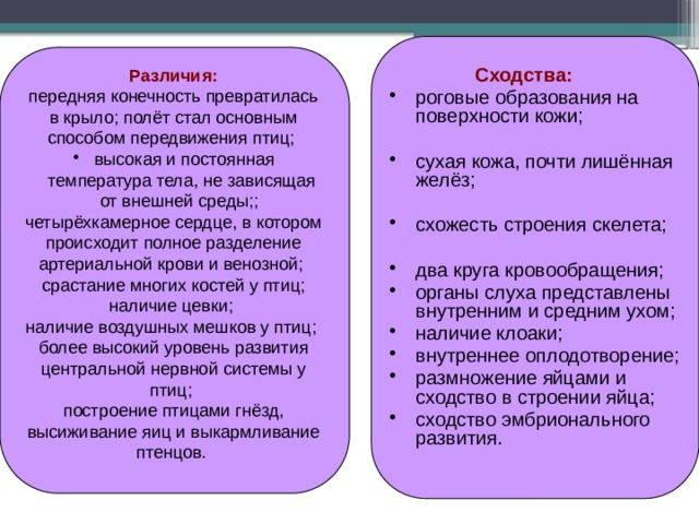  Сходства: роговые образования на поверхности кожи; сухая кожа, почти лишённая желёз; схожесть строения скелета; два круга кровообращения; органы слуха представлены внутренним и средним ухом; наличие клоаки; внутреннее оплодотворение; размножение яйцами и сходство в строении яйца; сходство эмбрионального развития. Различия: передняя конечность превратилась в крыло; полёт стал основным способом передвижения птиц;  высокая и постоянная температура тела, не зависящая от внешней среды;; четырёхкамерное сердце, в котором происходит полное разделение артериальной крови и венозной; срастание многих костей у птиц; наличие цевки; наличие воздушных мешков у птиц; более высокий уровень развития центральной нервной системы у птиц; построение птицами гнёзд, высиживание яиц и выкармливание птенцов. 