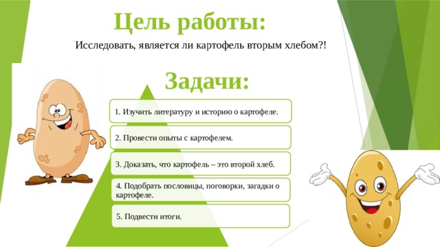 Цель работы: Исследовать, является ли картофель вторым хлебом?!   Задачи: 1. Изучить литературу и историю о картофеле. 2. Провести опыты с картофелем. 3. Доказать, что картофель – это второй хлеб.  4. Подобрать пословицы, поговорки, загадки о картофеле.  5. Подвести итоги. 