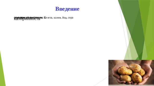 Введение  калорийность содержит витамин С источник углеводов содержит соли кальция, железа, калия, йод, сера 