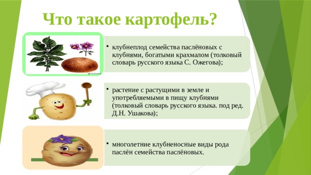 Работа картофеля