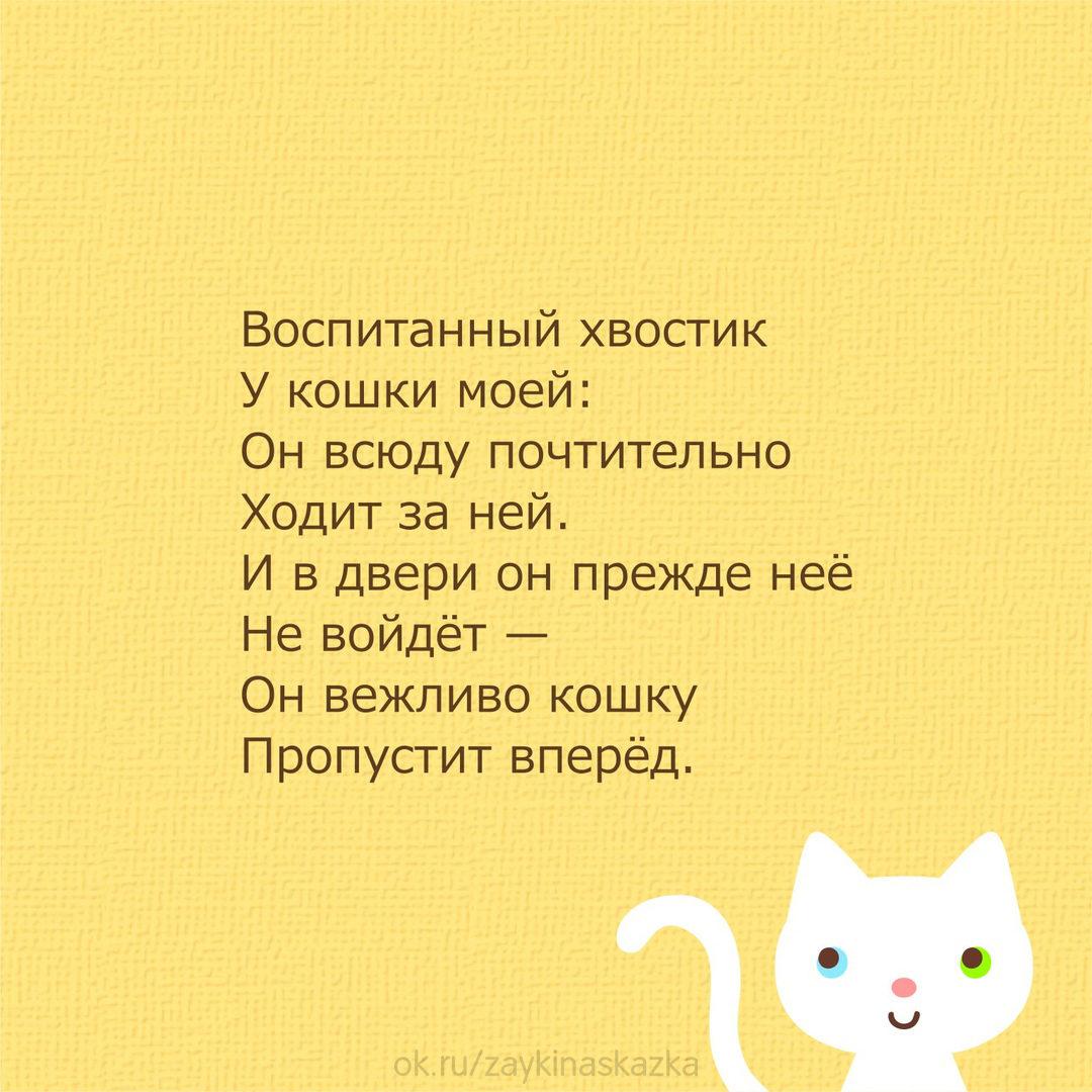 Стих про кота