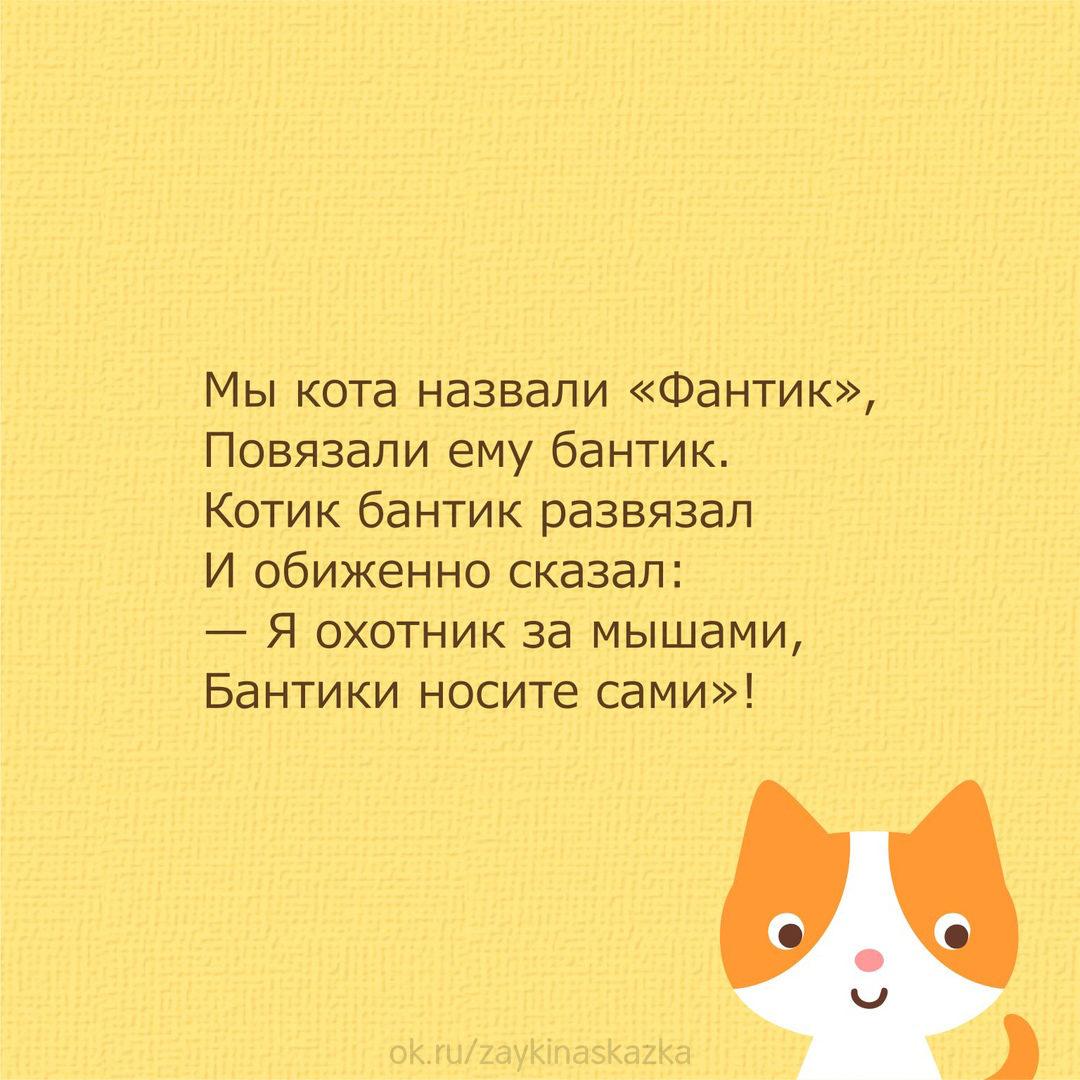 Стихи про котов