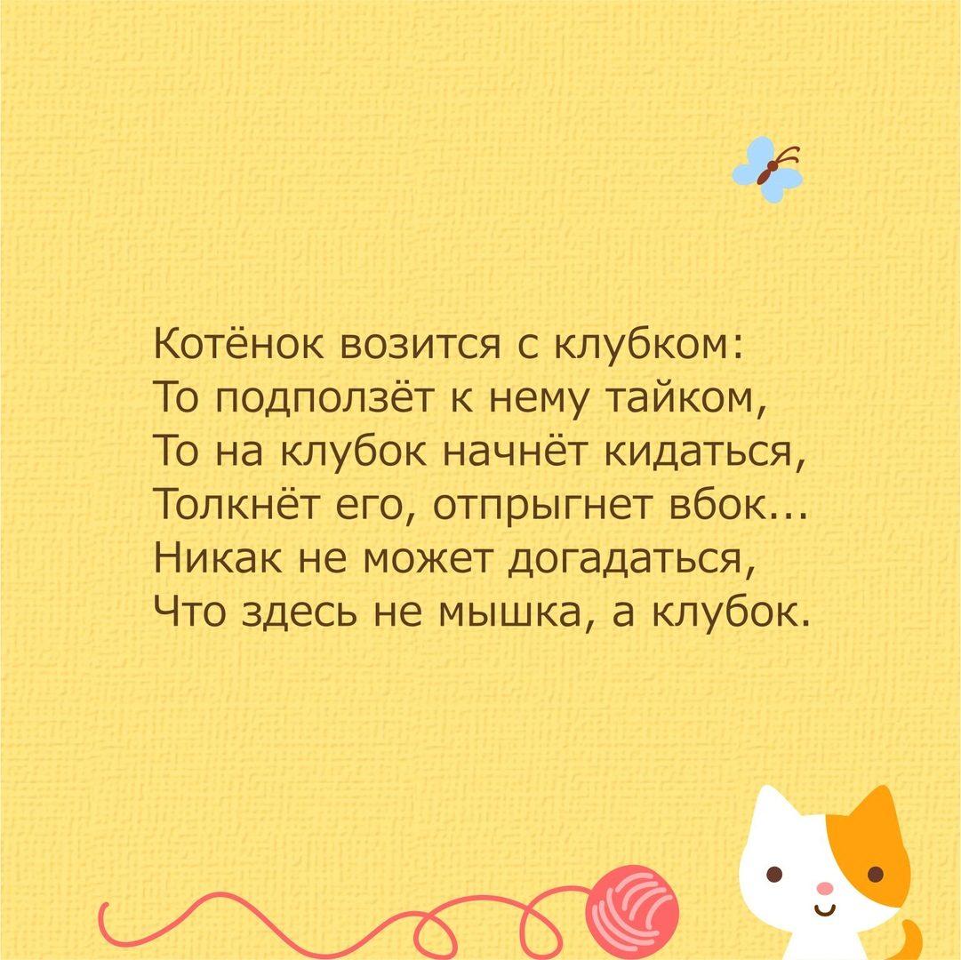 Стих про кота
