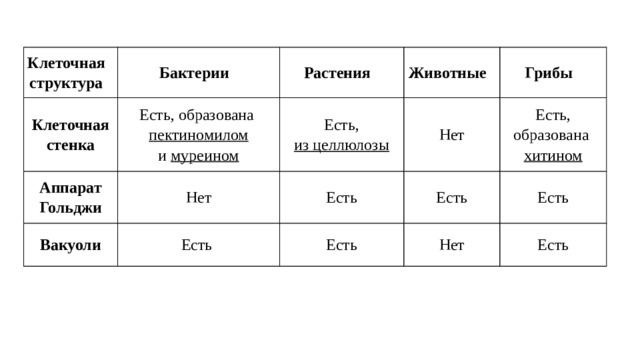 Клеточная структура Бактерии Клеточная стенка Растения Аппарат Гольджи Есть, образована  Нет Есть, Вакуоли пектиномилом и  муреином Животные из целлюлозы Нет Грибы Есть Есть Есть Есть, образована  Есть Есть хитином Нет Есть 