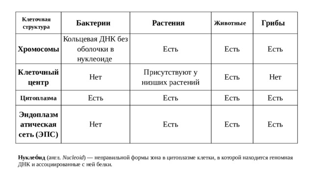 Таблица бактерии грибы растения. Хромосомы в клетках бактерий грибов растений и животных. Сравнение строения клеток растений животных грибов и бактерий. Хромосомы животных растений грибов и бактерий. Нуклеоид у растений животных грибов бактерий.