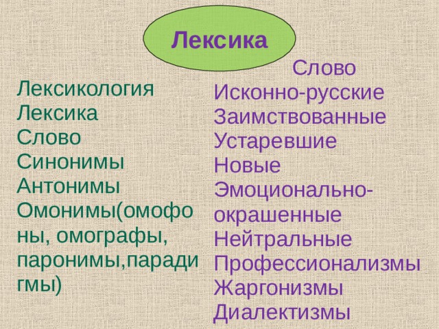 Оттенки экспрессивно эмоциональной окраски. Лексика слова. Заимствованные и устаревшие слова. Омонимы синонимы антонимы паронимы омографы омофоны. Эмоционально окрашенная лексика.