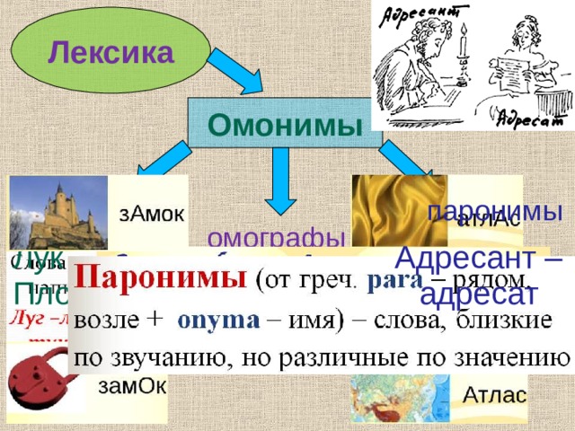 Омонимы паронимы. Паронимы омофоны омографы. Омонимы омографы. Паронимы омонимы омофоны омографы омоформы. Омонимы паронимы омографы омофоны.