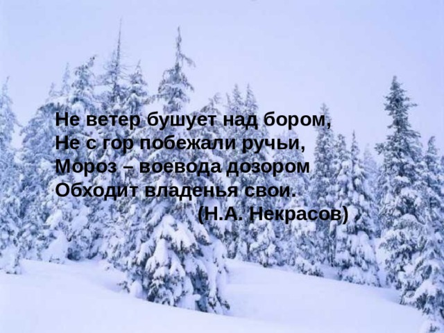 Мороз воевода дозором обходит владенья