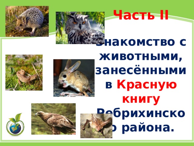 Часть II   Знакомство с животными,  занесёнными в Красную книгу Ребрихинского района.                   