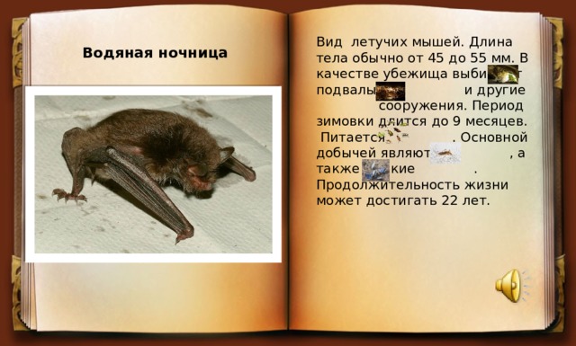 Вид летучих мышей. Длина тела обычно от 45 до 55 мм. В качестве убежища выбирают подвалы, и другие сооружения. Период зимовки длится до 9 месяцев.  Питается . Основной добычей являются , а также мелкие . Продолжительность жизни может достигать 22 лет. Водяная ночница 