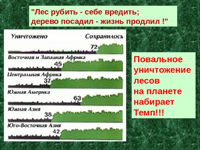 Лесные документы. Лесные ресурсы география 10 класс. Знаки по географии лесных ресурсов.. Лесные ресурсы Кыргызстана кратко. Характеристика лесных ресурсов 10 класс.