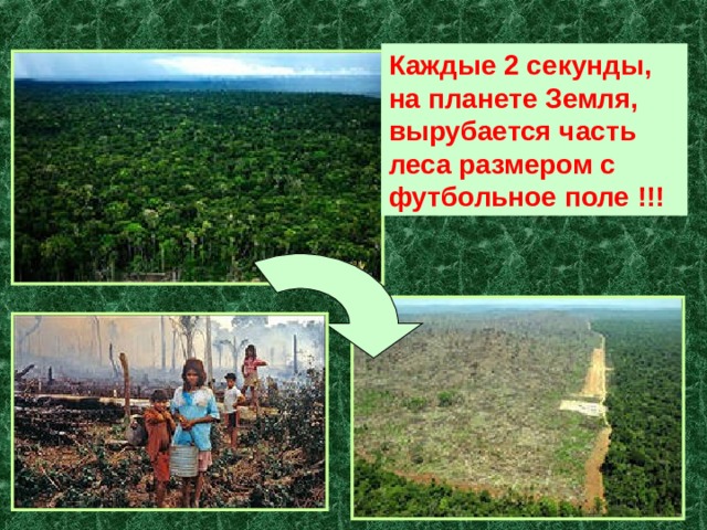 Каждые 2 секунды, на планете Земля, вырубается часть леса размером с футбольное поле !!! 