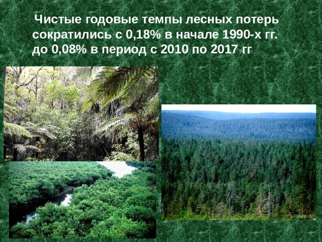  Чистые годовые темпы лесных потерь сократились с 0,18% в начале 1990-х гг. до 0,08% в период с 2010 по 2017 гг 