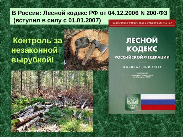 В России: Лесной кодекс РФ от 04.12.2006 N 200-ФЗ  (вступил в силу с 01.01.2007)  Контроль за незаконной вырубкой!  