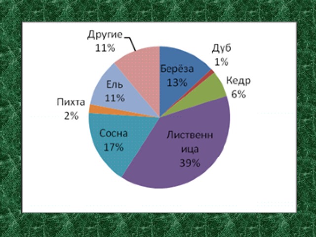 Создайте круговую диаграмму доля пород деревьев в общей площади лесов россии