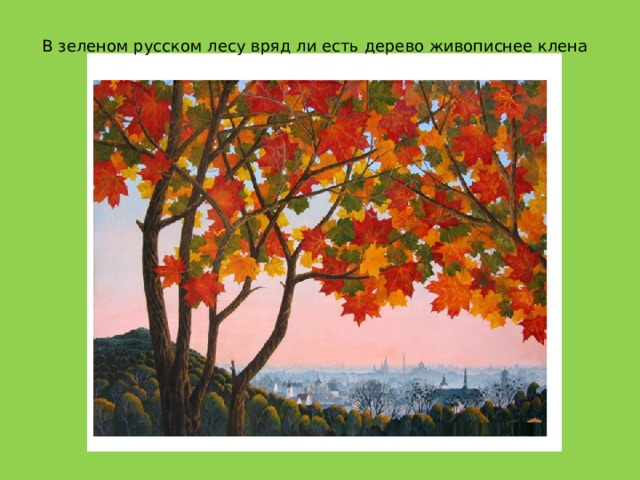 В зеленом русском лесу вряд ли есть дерево живописнее клена 