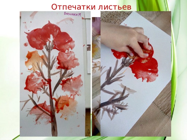   Отпечатки листьев 